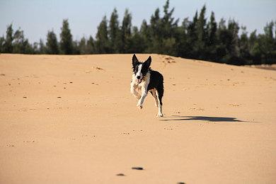 《蜀汉再临：源起》定档9月14日上线Steam 售价9.9元